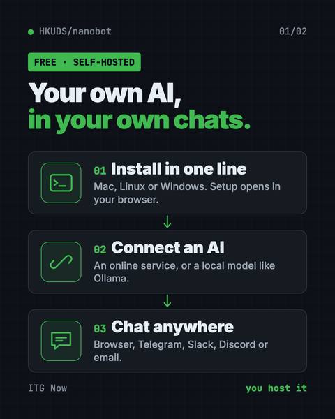 First infographic from the nanobot guide
